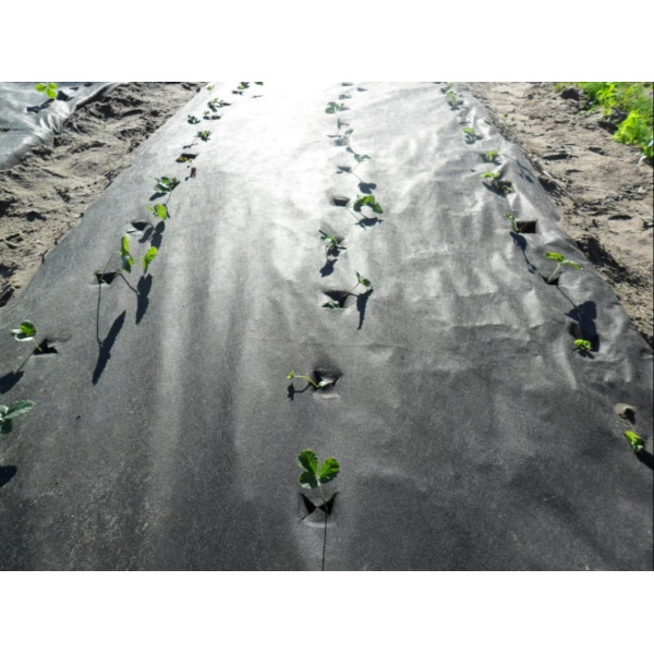 Агроволокно Greentex р-50 (1,05 х 10м) черное