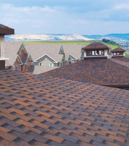 Бітумна черепиця BTM Shingle Dragon (зуб) Кава-мідь