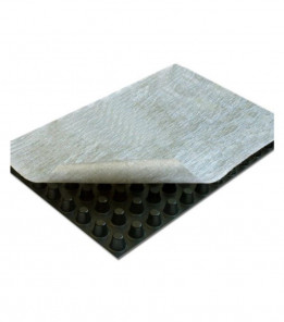 Шипоподібна геомембрана Profi Geo 10 (2х12.5м)