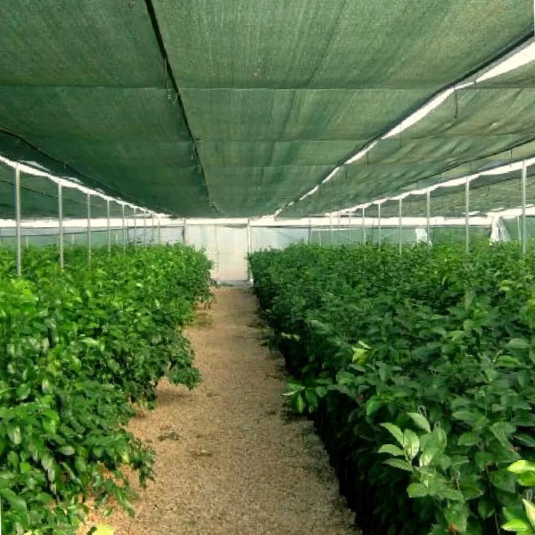 Сітка для затінення «Добра сіточка» 60% (50 х 4,0м)