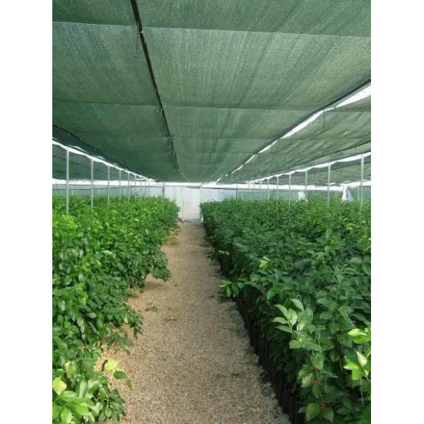 Сітка для затінення «Добра сіточка» 60% (50 х 4,0м)