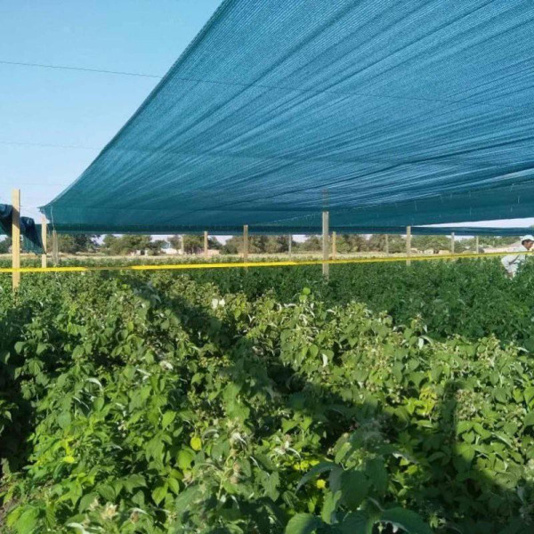 Сітка для затінення «Добра сіточка» 60% (50 х 4,0м)