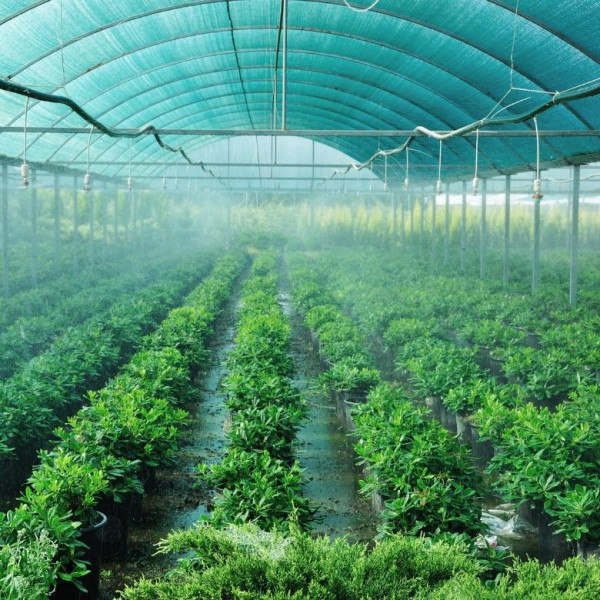 Сітка для затінення «Добра сіточка» 60% (50 х 4,0м)