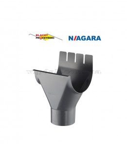 Воронка ринви  Niagara Ø125/100 колір Сріблястий