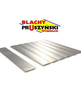 Фасадні PS-панелі Прушиньскі