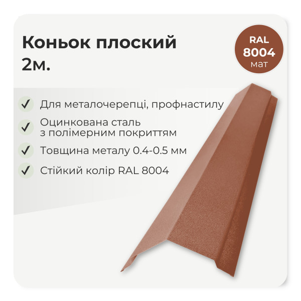 Коньок плоский малий L=2,0м чорний 9005 мат