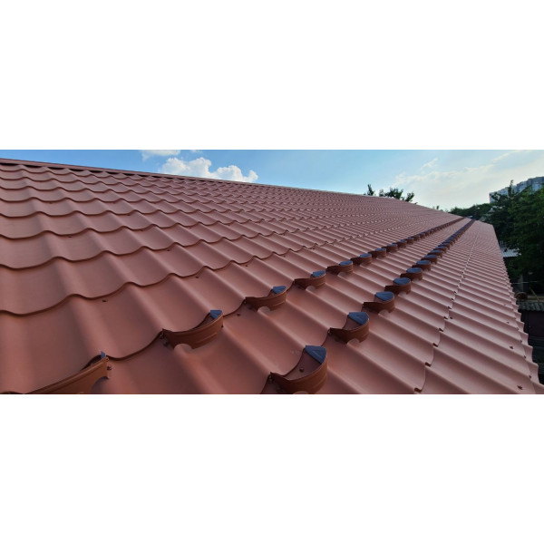 Снігозатримувач /снігоріз польський 