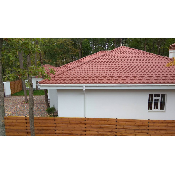 Снігозатримувач /снігоріз польський 