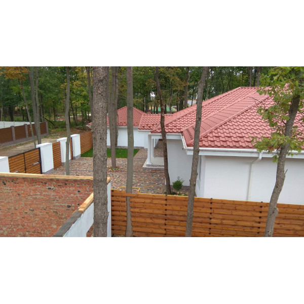 Снігозатримувач /снігоріз польський 