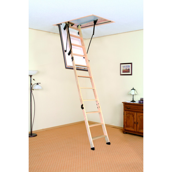 Сходи OMAN Polar