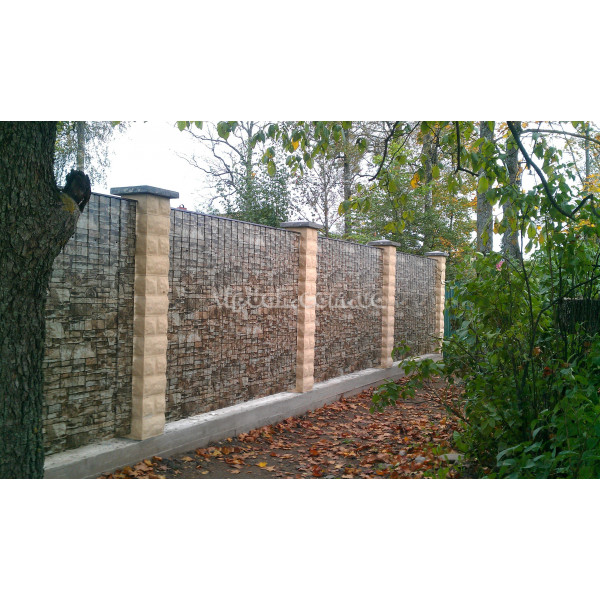 Профнастил ПР-8 кольоровий