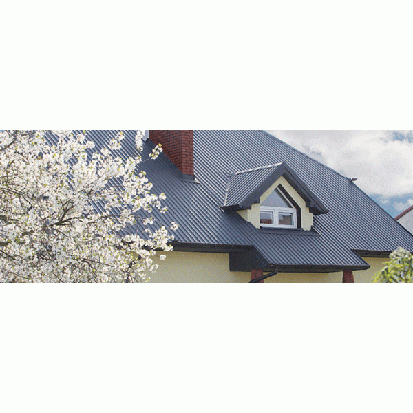 Профнастил Т-20К Прушиньскі кольоровий