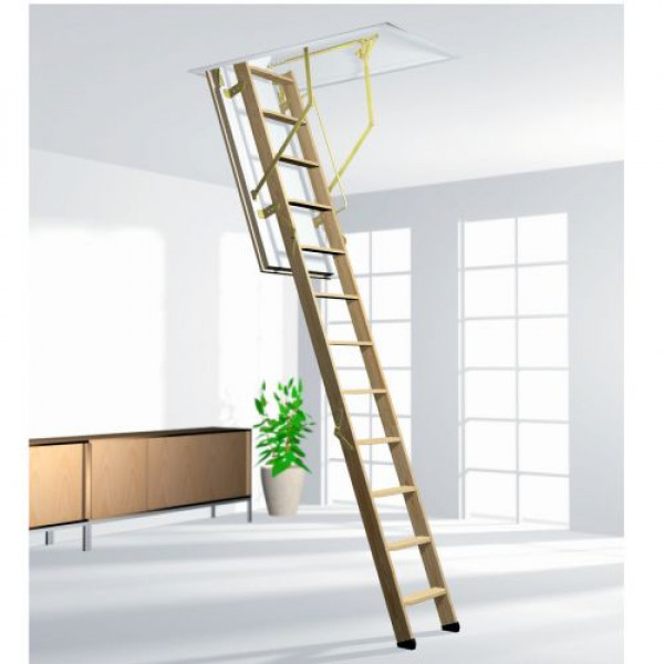 Сходи ROTO CADET 3 NORM