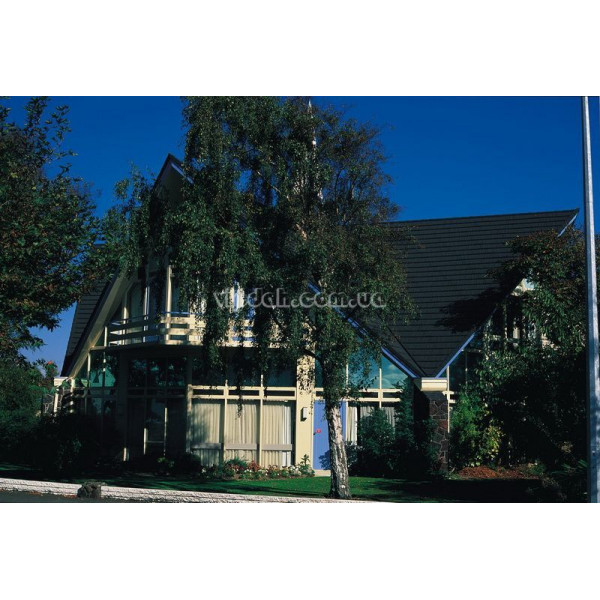 Композитна черепиця GERARD SHAKE (Шейк) BASE