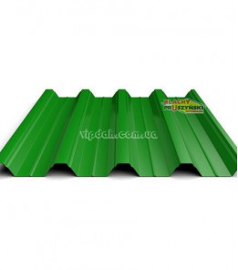 Профнастил Т-57 Прушиньскі оцинкований