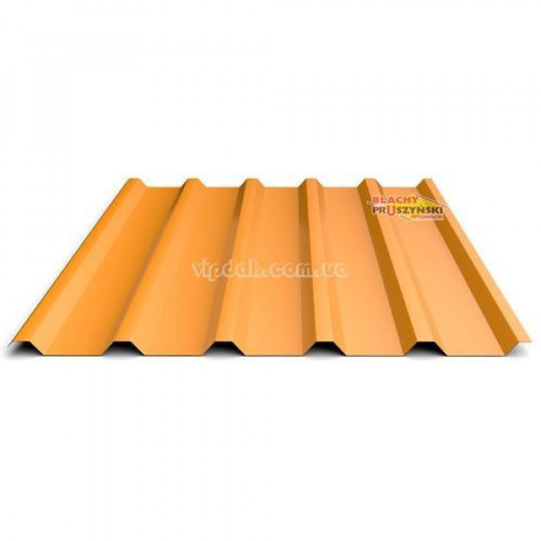 Профнастил Т-35Е Прушиньскі кольоровий